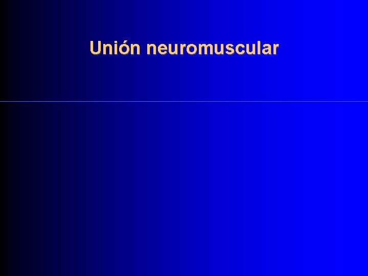 Unión neuromuscular 