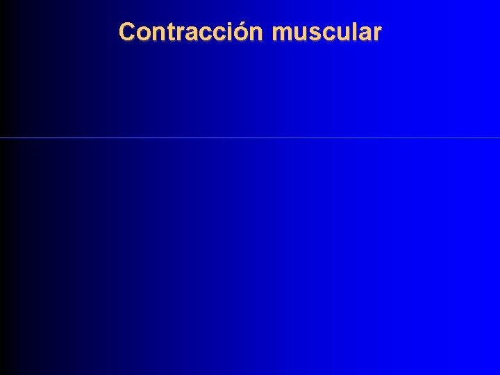 Contracción muscular 
