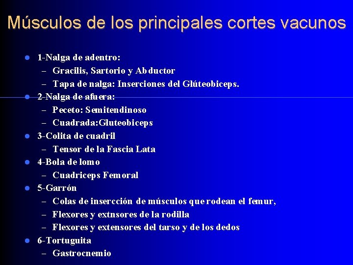 Músculos de los principales cortes vacunos 1 -Nalga de adentro: – Gracilis, Sartorio y