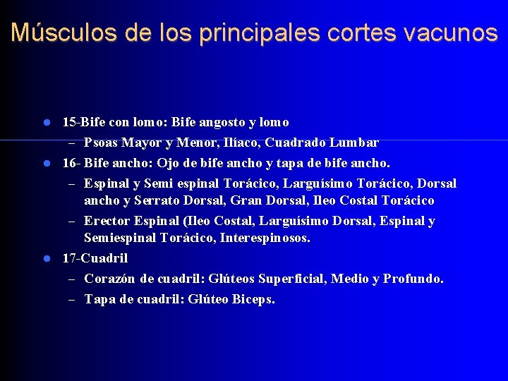 Músculos de los principales cortes vacunos 15 -Bife con lomo: Bife angosto y lomo