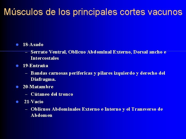 Músculos de los principales cortes vacunos 18 -Asado – Serrato Ventral, Oblicuo Abdominal Externo,