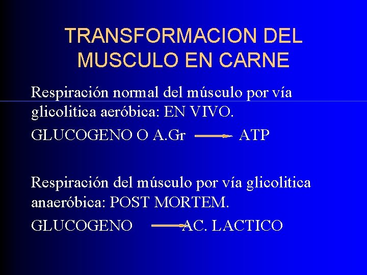 TRANSFORMACION DEL MUSCULO EN CARNE Respiración normal del músculo por vía glicolitica aeróbica: EN