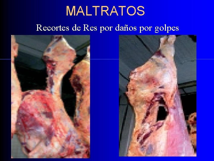 MALTRATOS Recortes de Res por daños por golpes 