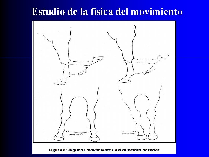 Estudio de la física del movimiento 