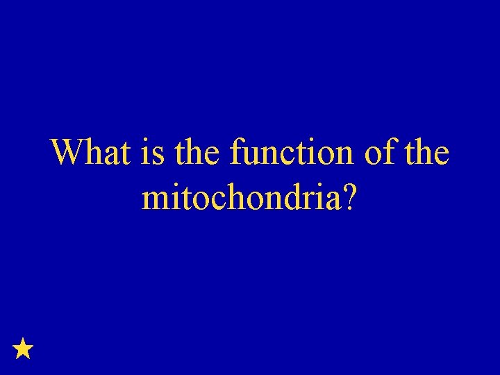 What is the function of the mitochondria? 