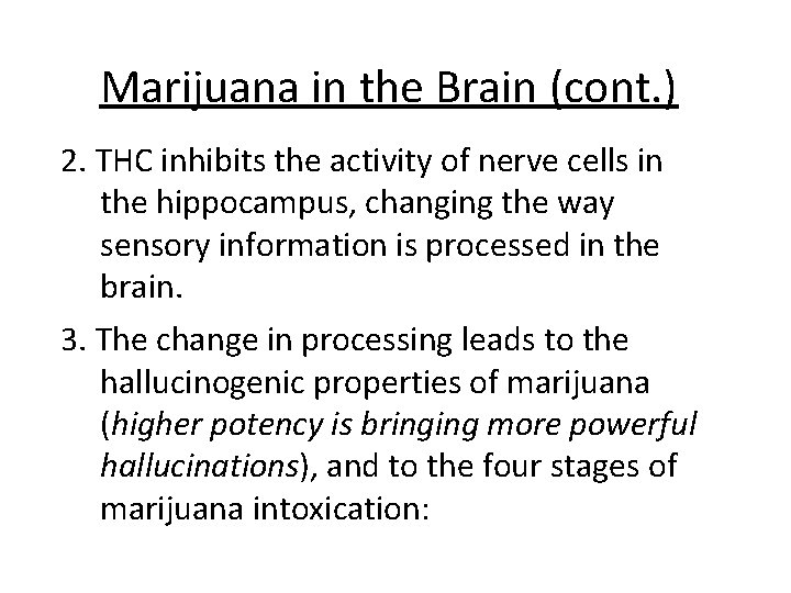 Marijuana in the Brain (cont. ) 2. THC inhibits the activity of nerve cells