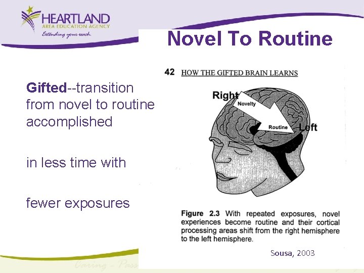 Novel To Routine Gifted--transition from novel to routine accomplished in less time with fewer