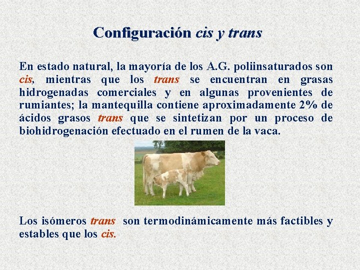 Configuración cis y trans En estado natural, la mayoría de los A. G. poliinsaturados