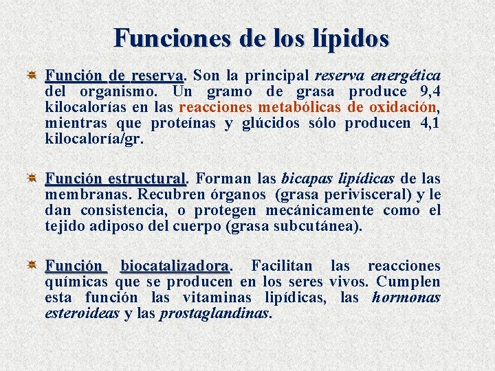  Funciones de los lípidos Función de reserva Son la principal reserva energética del