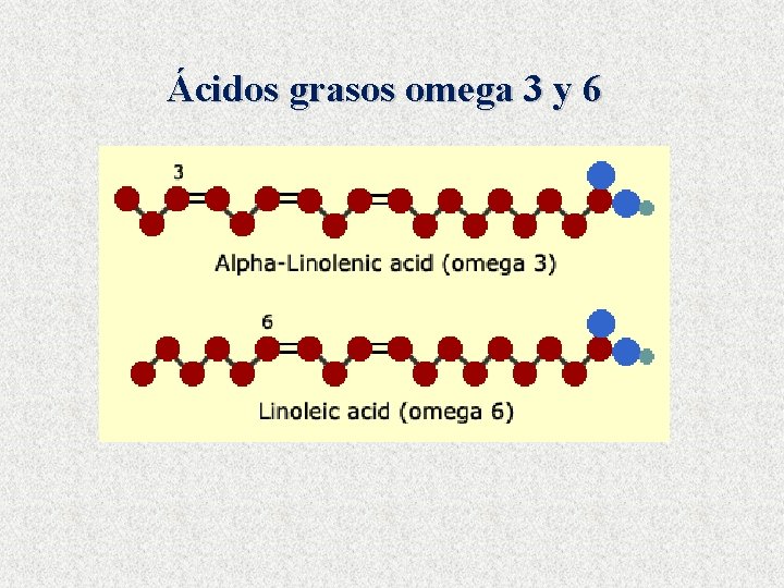 Ácidos grasos omega 3 y 6 