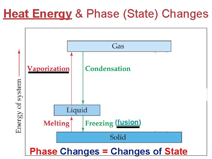 Heat Energy & Phase (State) Changes (fusion) Matter And Measurement Phase Changes = Changes