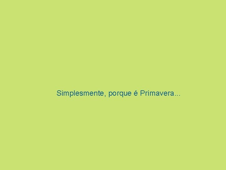 Simplesmente, porque é Primavera. . . 