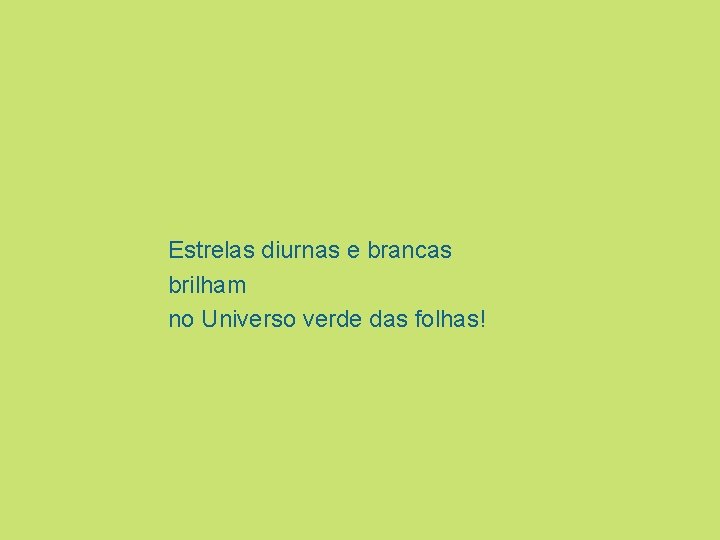 Estrelas diurnas e brancas brilham no Universo verde das folhas! 
