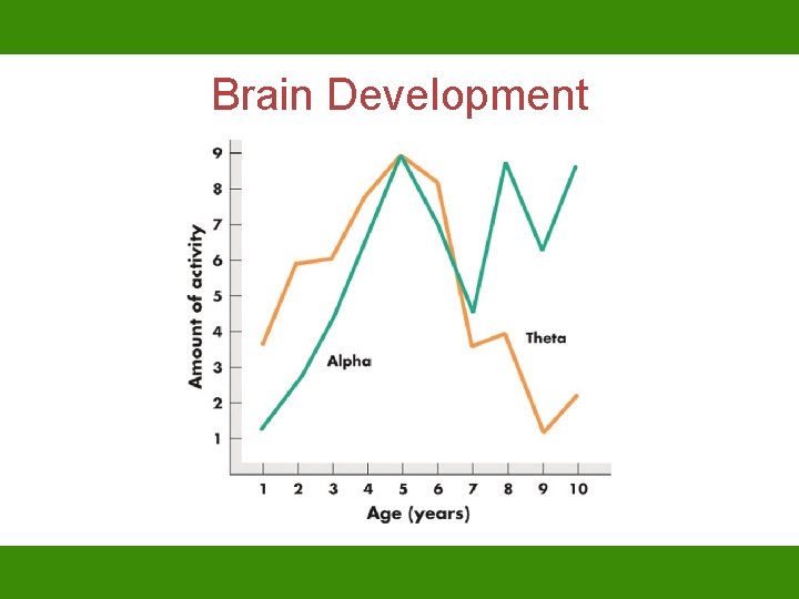 Brain Development 