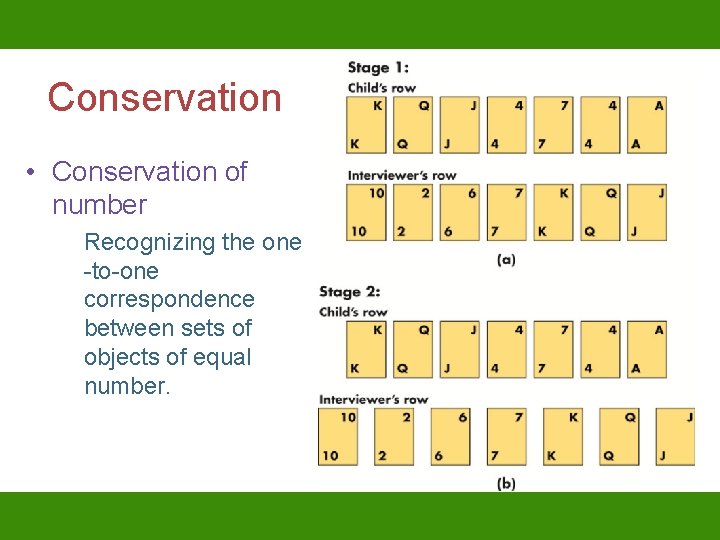 Conservation • Conservation of number Recognizing the one -to-one correspondence between sets of objects