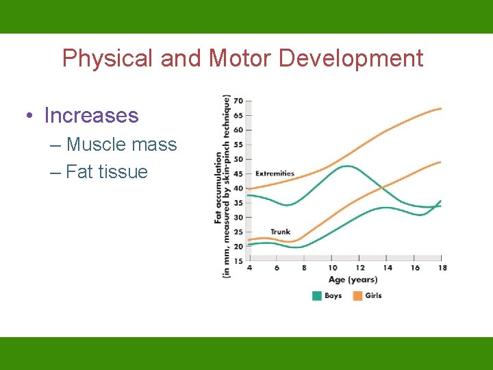 Physical and Motor Development • Increases – Muscle mass – Fat tissue 