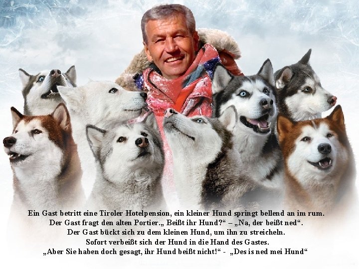 Ein Gast betritt eine Tiroler Hotelpension, ein kleiner Hund springt bellend an im rum.