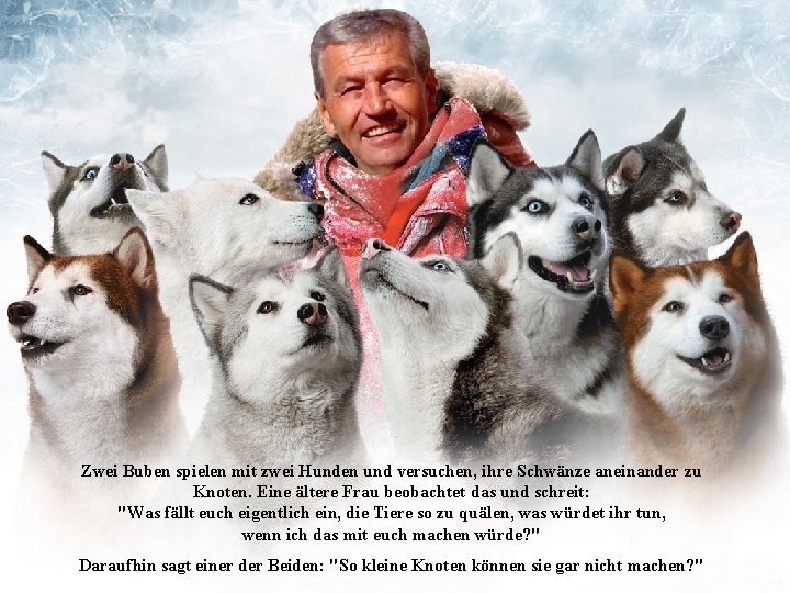 Zwei Buben spielen mit zwei Hunden und versuchen, ihre Schwänze aneinander zu Knoten. Eine