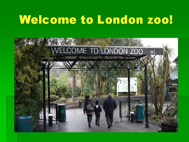 Welcome to London zoo! 