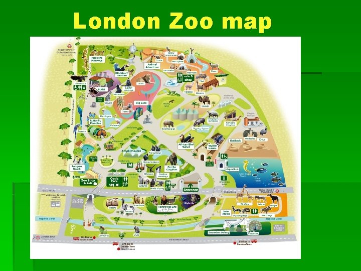 London Zoo map 