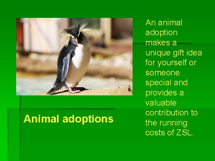 Animal adoptions An animal adoption makes a unique gift idea for yourself or someone