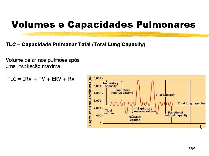 Volumes e Capacidades Pulmonares TLC – Capacidade Pulmonar Total (Total Lung Capacity) Volume de