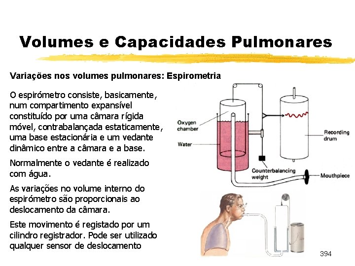 Volumes e Capacidades Pulmonares Variações nos volumes pulmonares: Espirometria O espirómetro consiste, basicamente, num