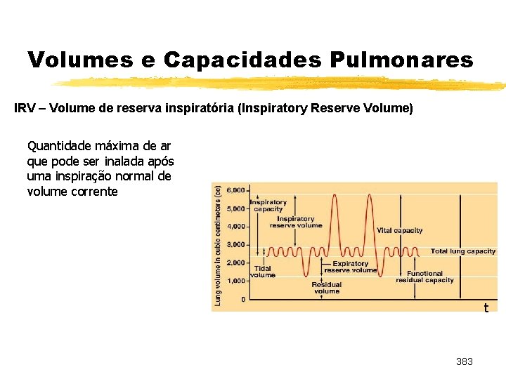 Volumes e Capacidades Pulmonares IRV – Volume de reserva inspiratória (Inspiratory Reserve Volume) Quantidade