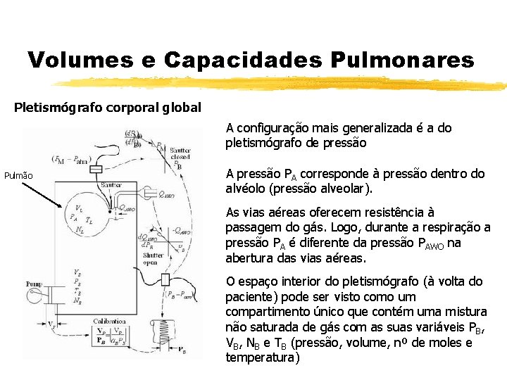 Volumes e Capacidades Pulmonares Pletismógrafo corporal global A configuração mais generalizada é a do