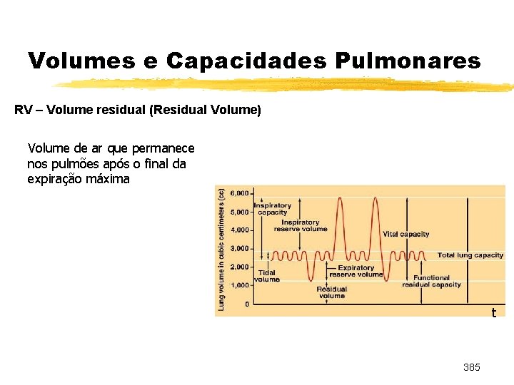 Volumes e Capacidades Pulmonares RV – Volume residual (Residual Volume) Volume de ar que