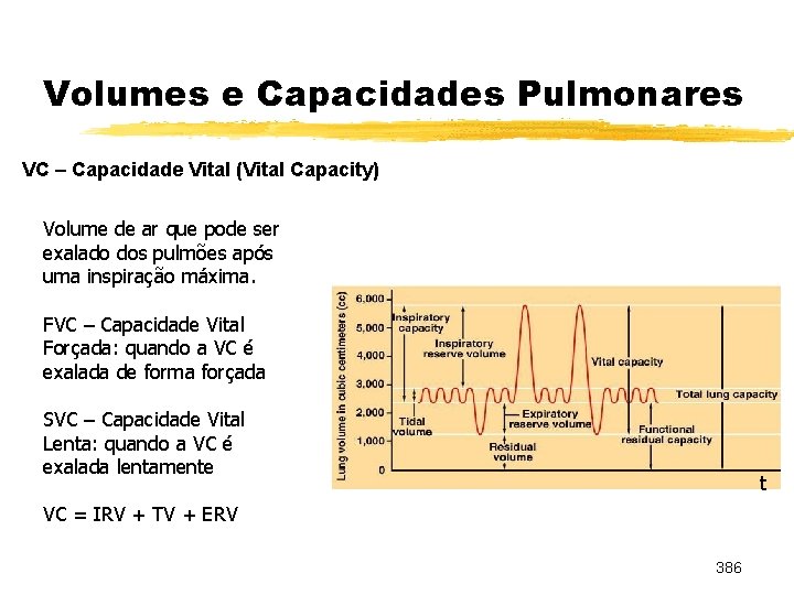 Volumes e Capacidades Pulmonares VC – Capacidade Vital (Vital Capacity) Volume de ar que