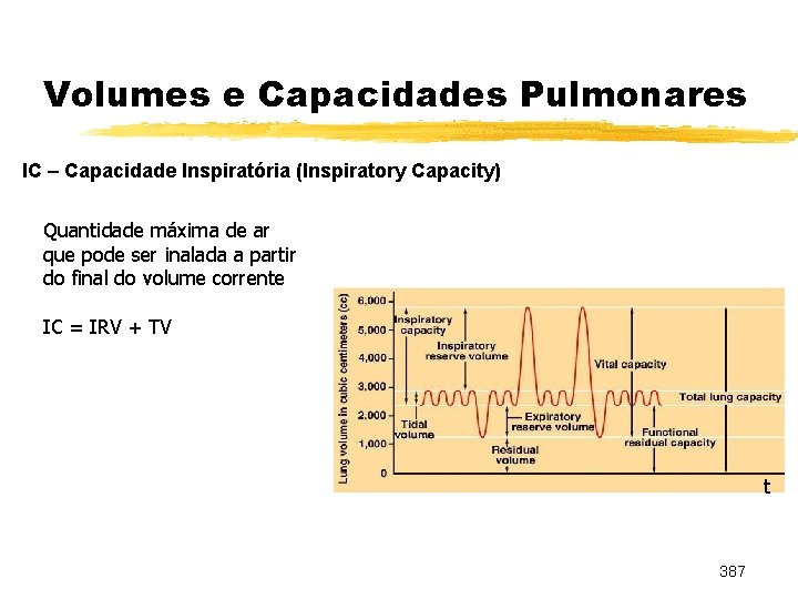 Volumes e Capacidades Pulmonares IC – Capacidade Inspiratória (Inspiratory Capacity) Quantidade máxima de ar