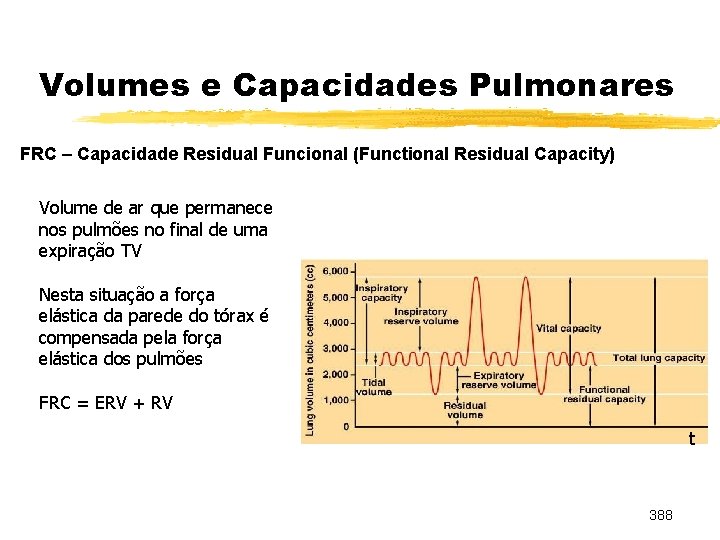 Volumes e Capacidades Pulmonares FRC – Capacidade Residual Funcional (Functional Residual Capacity) Volume de