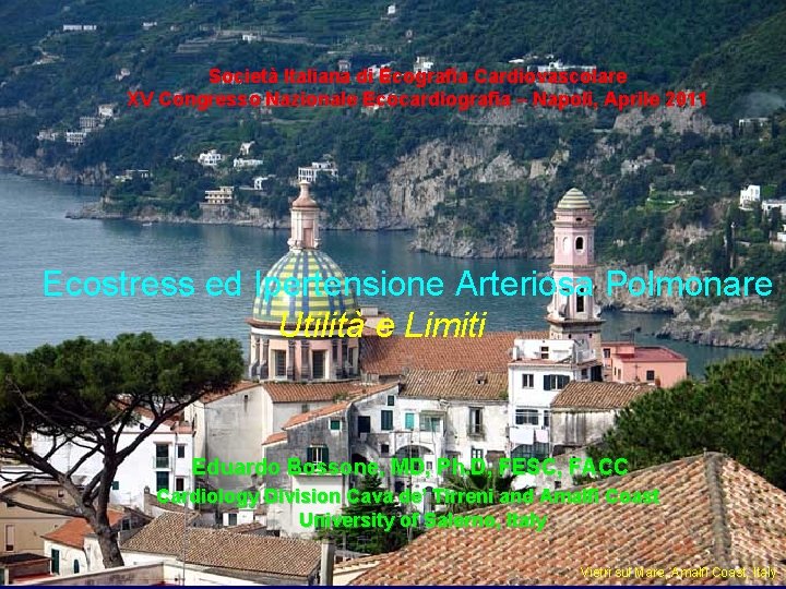 Società Italiana di Ecografia Cardiovascolare XV Congresso Nazionale Ecocardiografia – Napoli, Aprile 2011 Ecostress Società Italiana di Ecografia Cardiovascolare XV Congresso Nazionale Ecocardiografia – Napoli, Aprile 2011 Ecostress