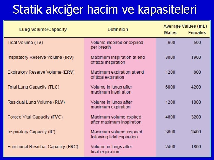 Statik akciğer hacim ve kapasiteleri 