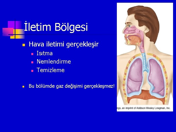 İletim Bölgesi n Hava iletimi gerçekleşir n n Isıtma Nemlendirme Temizleme Bu bölümde gaz