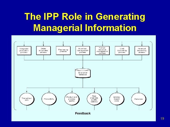 The IPP Role in Generating Managerial Information 19 