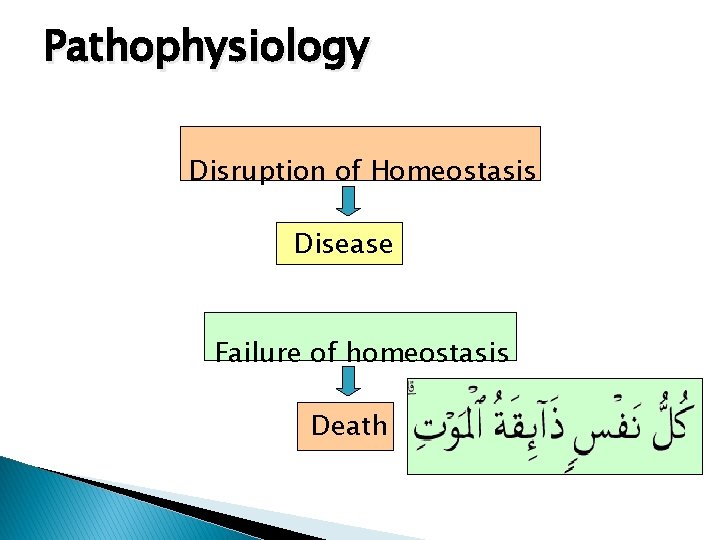 Pathophysiology Disruption of Homeostasis Disease Failure of homeostasis Death 