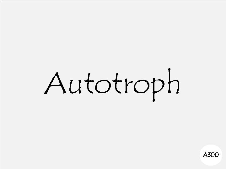 Autotroph A 300 