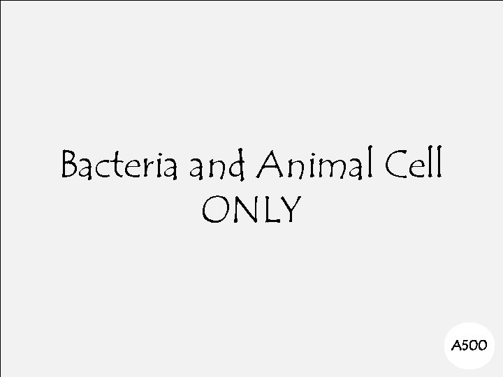 Bacteria and Animal Cell ONLY A 500 