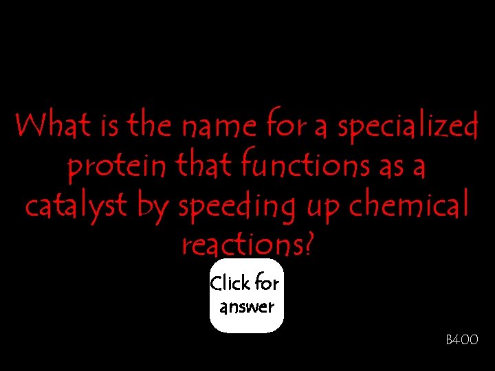 What is the name for a specialized protein that functions as a catalyst by