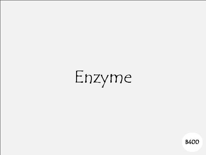 Enzyme B 400 