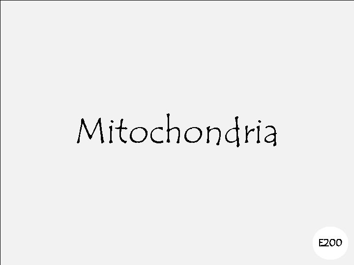 Mitochondria E 200 