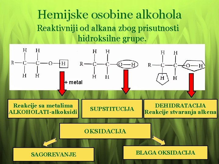 Hemijske osobine alkohola Reaktivniji od alkana zbog prisutnosti hidroksilne grupe. + metal Reakcije sa