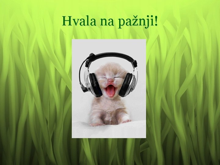 Hvala na pažnji! 