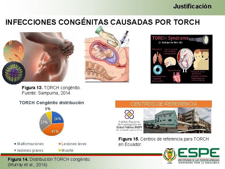 Justificación INFECCIONES CONGÉNITAS CAUSADAS POR TORCH Figura 13. TORCH congénito. Fuente: Sampurna, 2014 TORCH