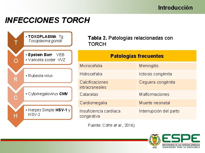 Introducción INFECCIONES TORCH T O R C H • TOXOPLASMA Tg Toxoplasma gondii Tabla