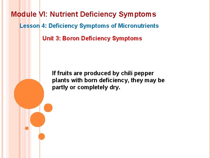 Module VI: Nutrient Deficiency Symptoms Lesson 4: Deficiency Symptoms of Micronutrients Unit 3: Boron