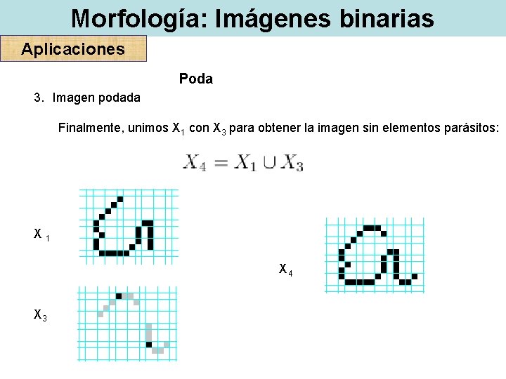 Morfología: Imágenes binarias Aplicaciones Poda 3. Imagen podada Finalmente, unimos X 1 con X