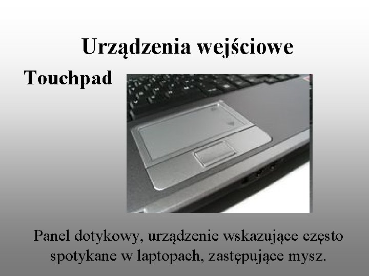 Urządzenia wejściowe Touchpad Panel dotykowy, urządzenie wskazujące często spotykane w laptopach, zastępujące mysz. 